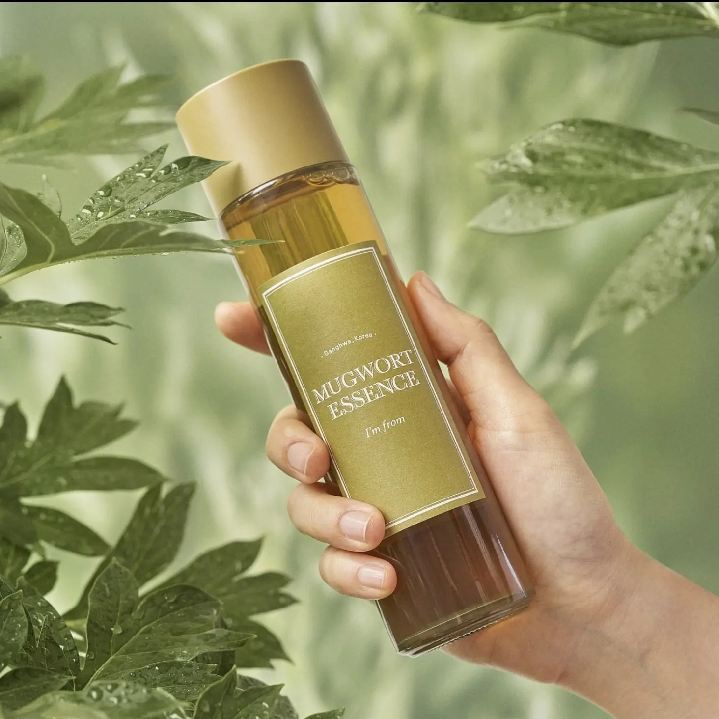 I’m From – Mugwort Essence