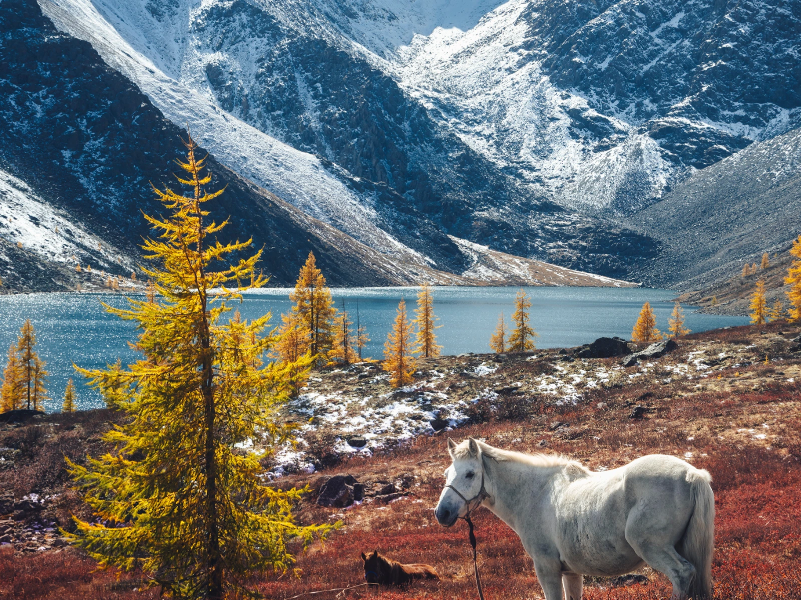 Khuvsgul Lake & Taiga Adventure 9D/8N