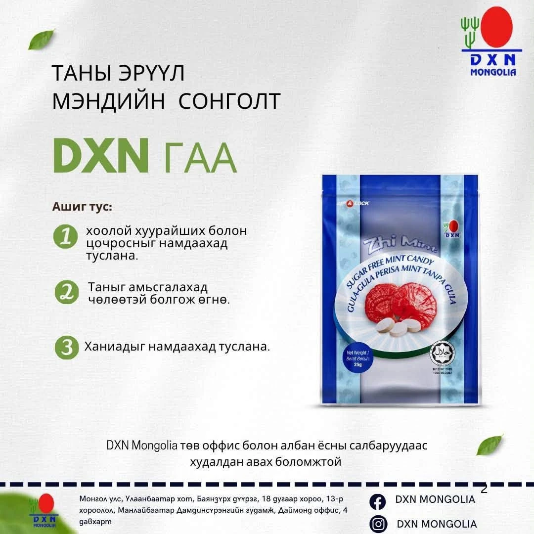 🌿 DXN Zhi Mint – Хоолойны гаа