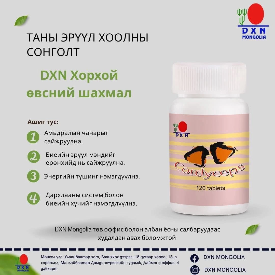 хорхой мөөг