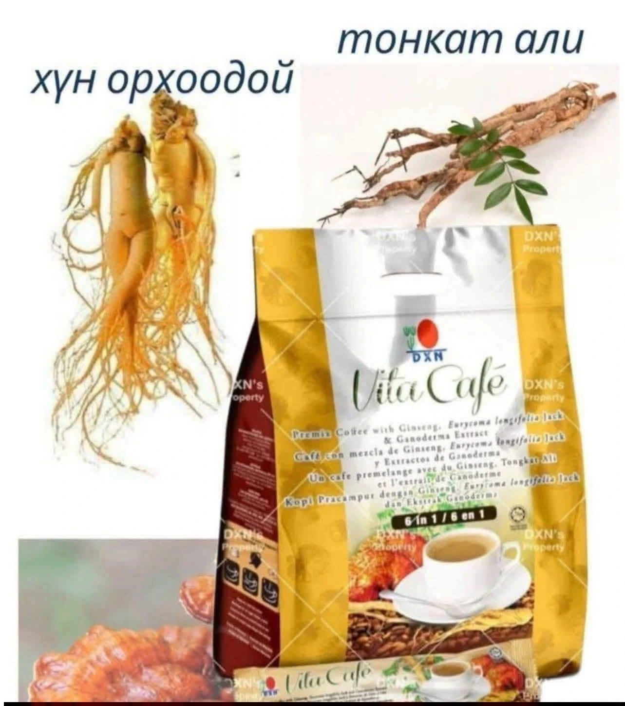 DXN--BИТА КОФE